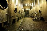 Wine-Cellar in the old Castle Moat