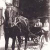 Greatgrandfather Heinrich with his wife Hermine